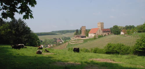 b049