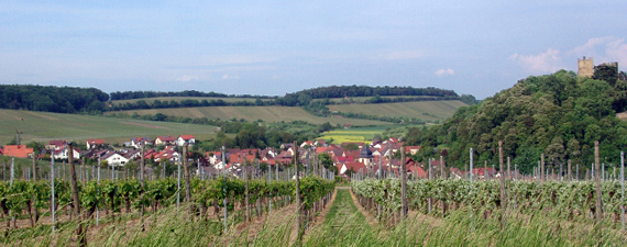 neipperg 2008